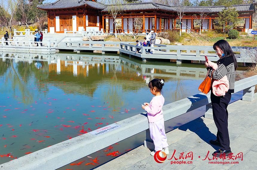 雄安悅?cè)莨珗@一角，不少家長帶著孩子前來游玩。人民網(wǎng)宋燁文攝