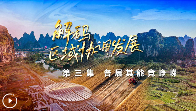 四集政論片《解碼區(qū)域協(xié)調(diào)發(fā)展》第三集《各展其能競崢嶸》