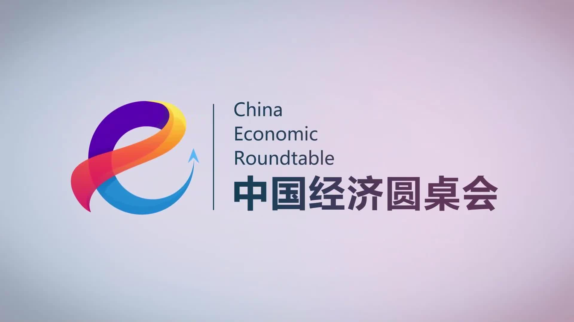 “中國經(jīng)濟(jì)圓桌會(huì)”共話民營經(jīng)濟(jì)促進(jìn)法出臺(tái)