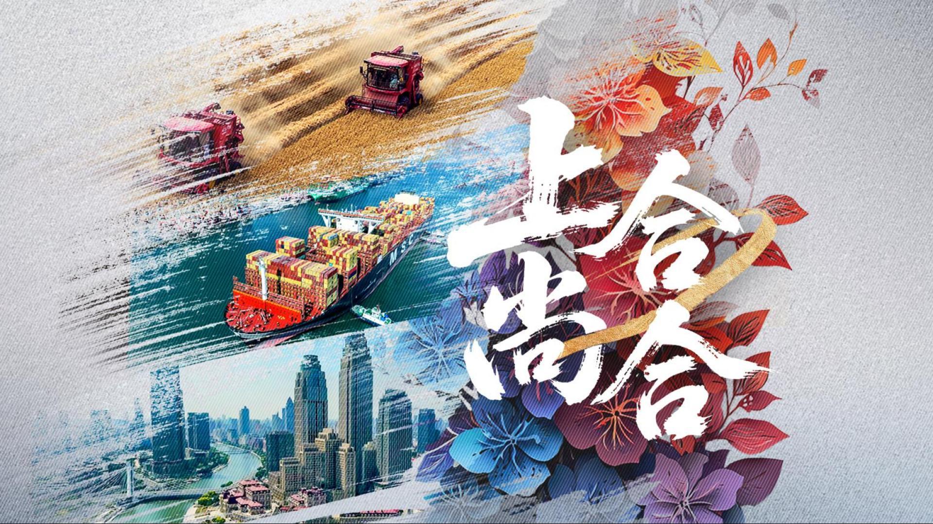 紀(jì)錄片丨上合，尚合