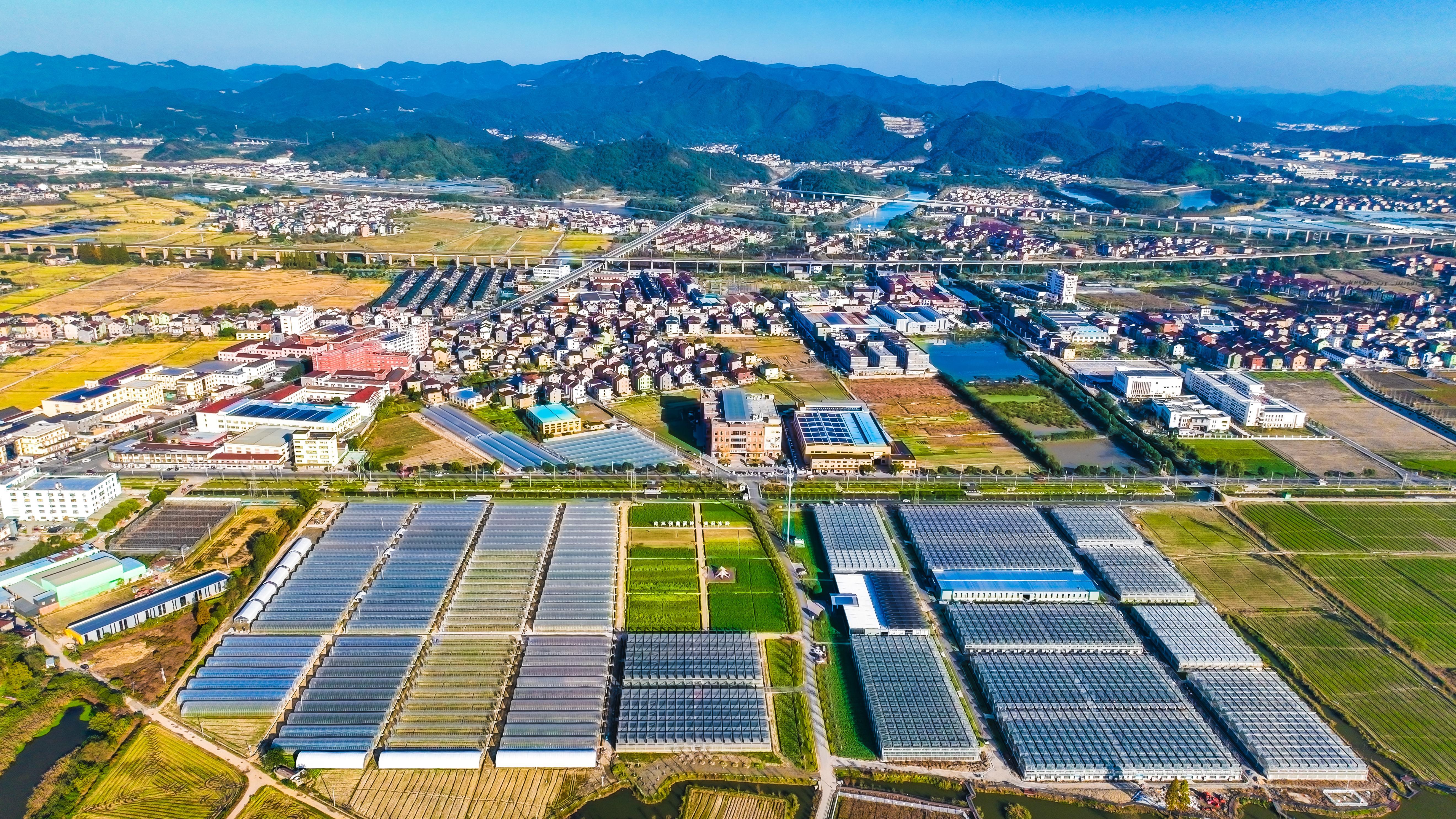 傳化集團有限公司